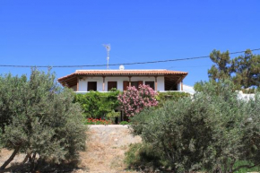 Traditional Olive House